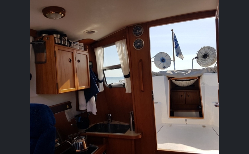 Albatross Flying 871-kuva-6